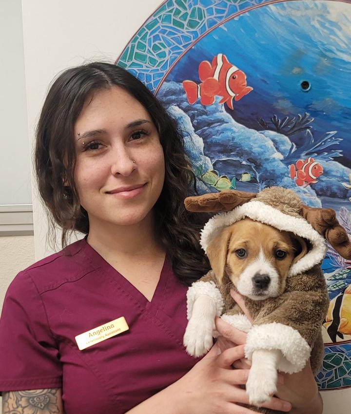 Portrait of Angelina